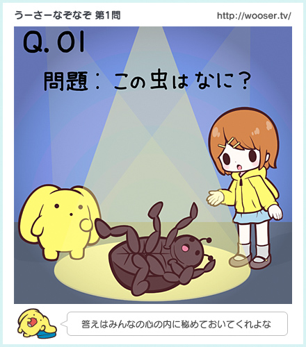 第1回 問題：この虫はなに？